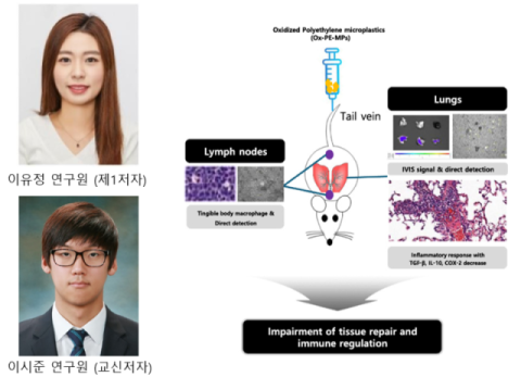 케이메디허브, 미세플라스틱 혈류 유입 경로 규명해 국내외서 큰 관심