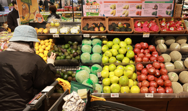 서울 시내 한 대형마트 수입 과일 판매대. 연합뉴스