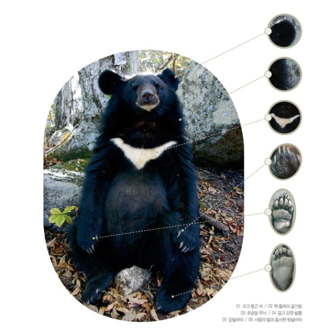 국립공원공단은 