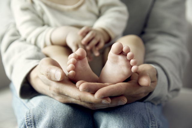 클립아트코리아