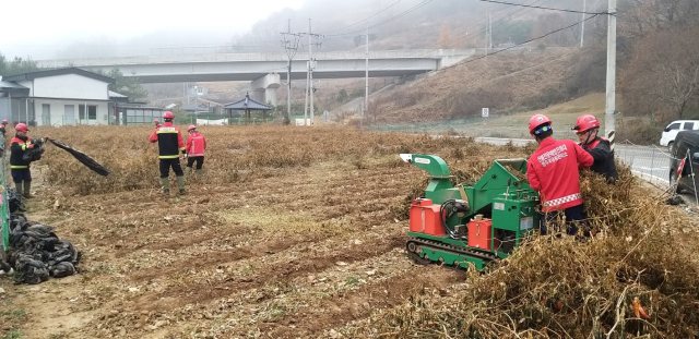 영농부산물을 수거해 파쇄하고 있다. 영주국유림관리소 제공
