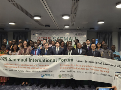 새마을운동, 아프리카에 희망을 심다