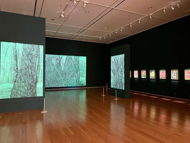 대구미술관 2전시실에 전시 중인 허윤희 작가의 작품 