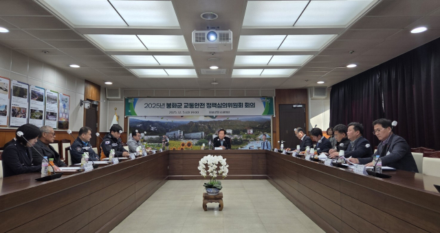 지난 5일 열린 교통안전정책심의위원회에서 군은 내년 12억원을 투입해 교통약자 중심의 환경 개선책을 추진하기로 했다. 봉화군 제공