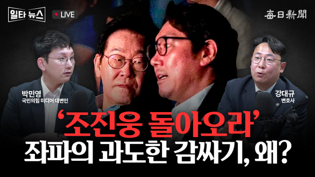 매일신문 유튜브 