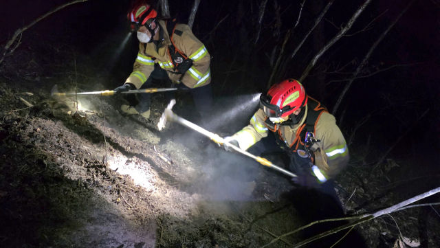 청송군 청송읍 거대리 산불 완진…인명피해 없어