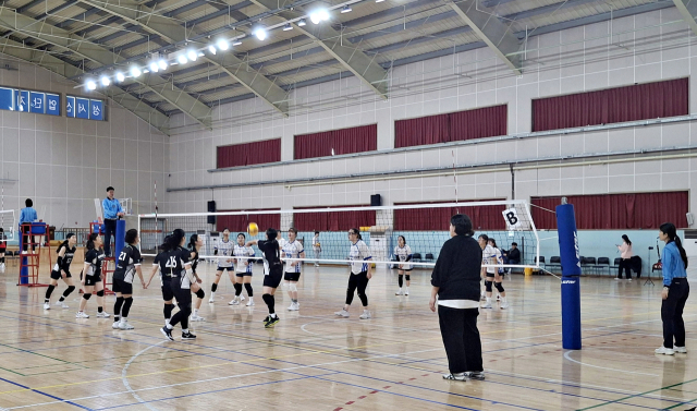 달서구 배구 동호인 리그에 참가한 선수들의 경기 모습. 달서구배구협회 제공