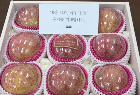 답례품 '사과박스' 반품한 국힘에…혁신당 