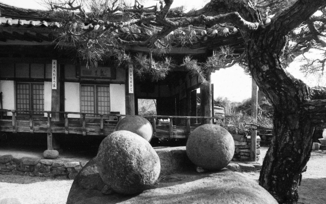 박정배, 남천고택