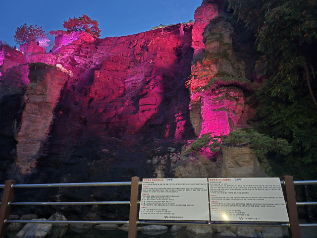 대구 지자체 앞다퉈 '미디어파사드' 설치…