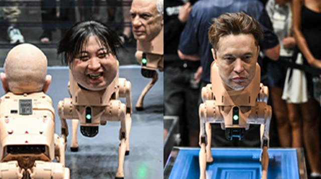 김정은·머스크 얼굴 로봇개 '1억 5천만원' 품절?