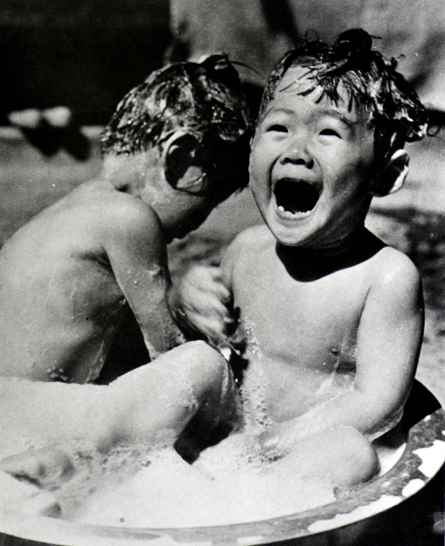 특선3석 이규성 작 