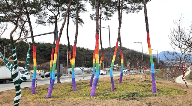 경북 도청대로 가로수가 알록달록 옷으로 갈아입고 겨울채비를 끝냈다. 엄재진 기자