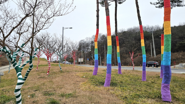 경북 도청대로 가로수가 알록달록 옷으로 갈아입고 겨울채비를 끝냈다. 엄재진 기자