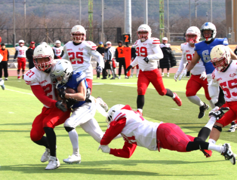 군위 피닉스, 한국미식축구 결승 광개토볼서 삼성 블루스톰에 고배