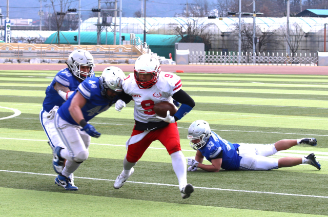 군위 피닉스의 쿼터백 이민우(9번)가 14일 경북 군위 미식축구 경기장에서 열린 광개토볼 도중 삼성 블루스톰의 수비진 사이로 돌파를 시도하고 있다. 박경규 경북대 감독 제공