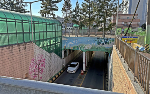 경주 황성제2지하도, 유지 vs 평면화 ? 설문조사