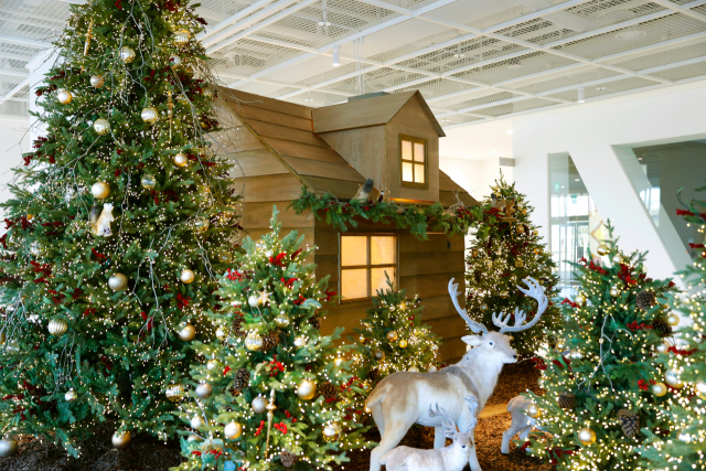 대구미술관을 장식한 크리스마스 소품들. 대구미술관 제공
