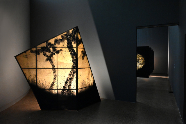 유태근 개인전이 열리고 있는 아트스페이스 울림 전경. 아트스페이스 울림 제공