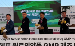 경북도, 헴프 의약품 'GMP 공장' 첫 착공…수출 길 연다