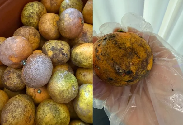 한 인플루언서가 