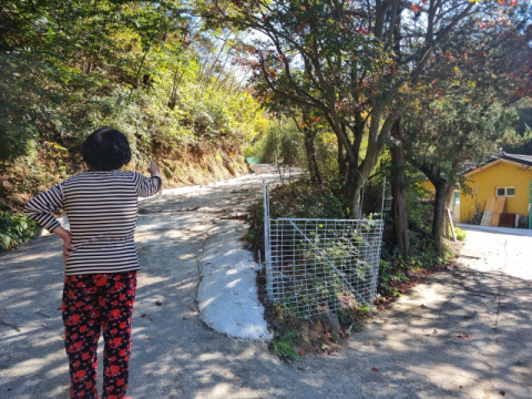 유해야생동물 포획 '총성 논란'…관리 부실한 대구 동구청