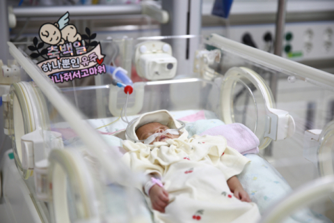 생존율 1%의 벽을 넘다…대구가톨릭대병원, 고위험 산모·신생아 치료의 희망