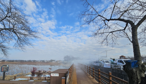 경북 첫 고병원성 AI 확인…구미 야생조류서 H5N1 검출