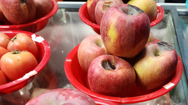 한번 맛보면 또 사 먹는다…경북 '못난이 사과' 인기