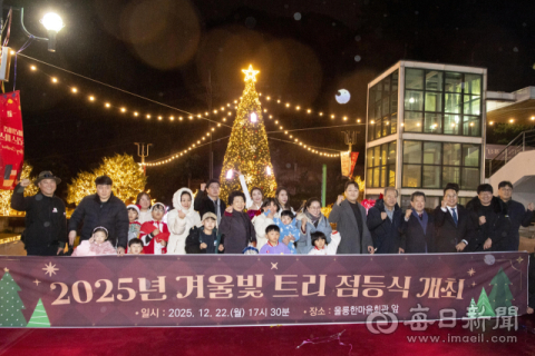 [포토뉴스]울릉군,  불 밝힌 '겨울빛 트리'…설렘 가득