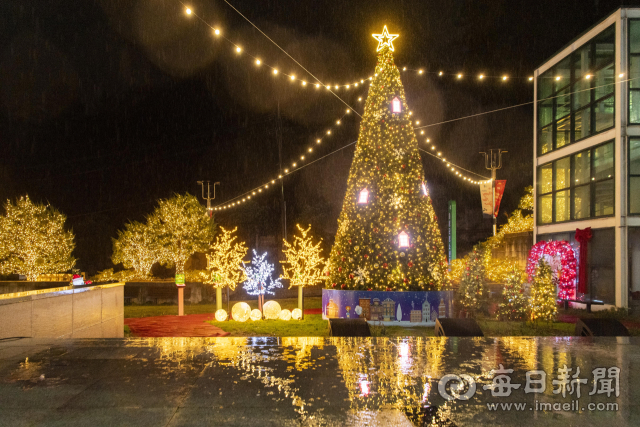 울릉군 한마음회관 광장에 설치된 크리스마스 트리가 22일 밤 점등식을 갖고 붉밝혀 이색 풍경을 자아내고 있다. 울릉군 제공