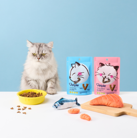 동아제약, 고양이 전용 구강관리 스낵 '벳플 브이트릿' 2종 선보여