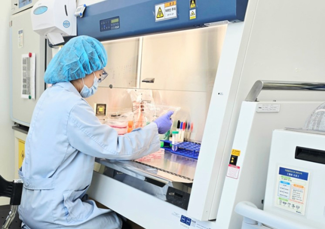 케이메디허브 연구원이 미생물 시험을 진행하고 있다. 케이메디허브 제공