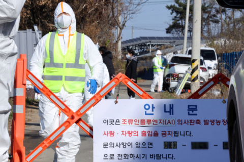 계란값 7천원대 진입…조류 AI 확산에 수급 불안 우려 커진다