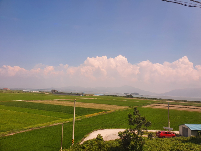 [함께 꿈꾸는 시] 김선숙 '여름 한낮'