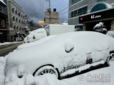 설국으로 변한 울릉도