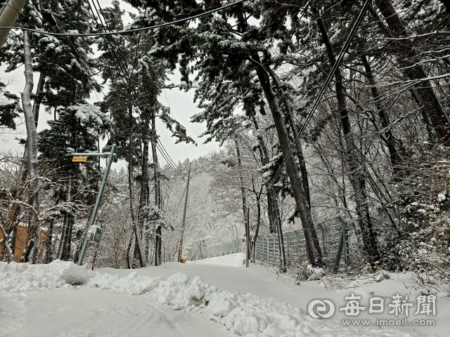 성탄절 폭설에 울릉도 '비상'…여객선·도로 통제
