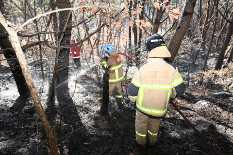 군위군 소보면 야산에서 산불…임야 500㎡ 태워