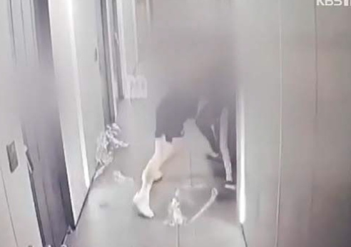 피해자 B씨와 몸싸움을 벌이는 이씨. KBS