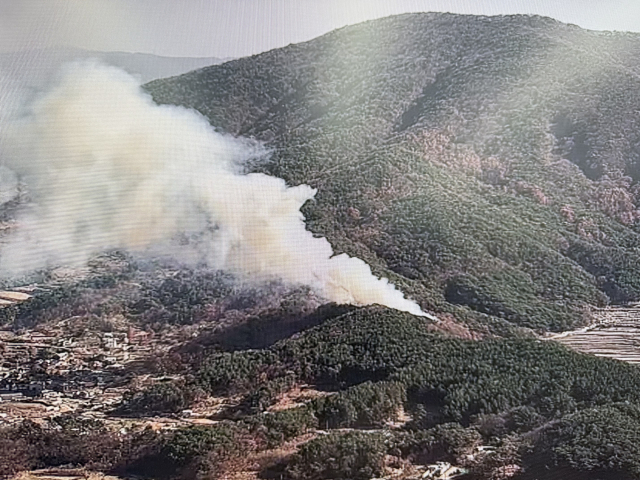 산불 모습. 본 기사와 직접적 연관은 없음. 연합뉴스.