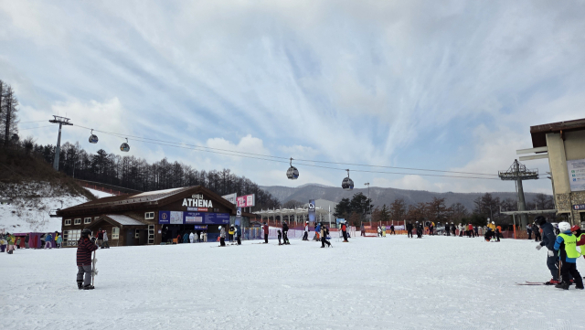 영주 드림스타트 가족들이 강원도 정선군 하이원에서 눈썰매를 즐기고 있다. 영주시 제공