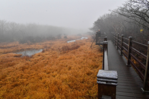 [팔도핫플레이스] 한라산 1100고지