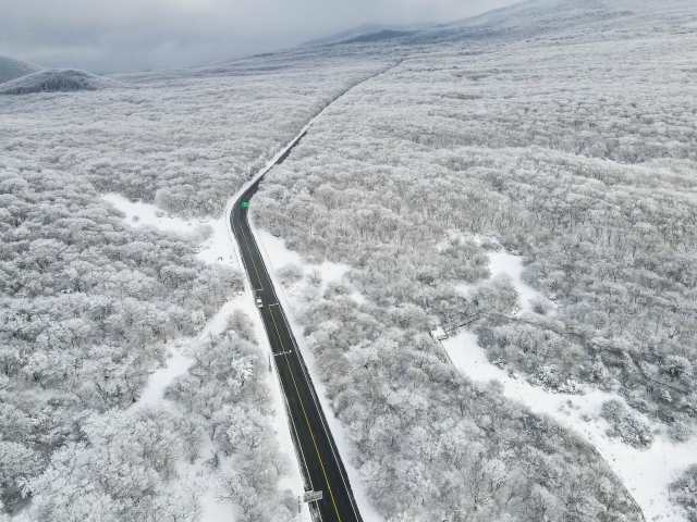 [팔도핫플레이스] (box2) '길의 혁명' 1100도로