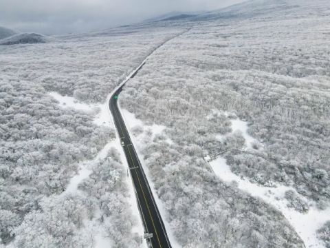 [팔도핫플레이스] (box2) '길의 혁명' 1100도로