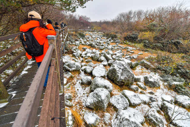 1100고지 습지. 제주일보 자료사진
