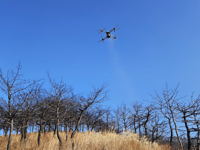 청송군이 지난해 3월 발생한 대형 산불 피해지역에 드론을 이용해 더덕·도라지 종자를 파종하는 모습. 청송군 제공