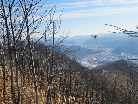 불탄 숲에 씨앗을 뿌리다…청송, 드론으로 산불 상처 치유