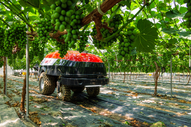 아세아텍이 개발한 국내 최초 경로 학습형 GPS 자율주행 방제기 ASIA500G가 과수원을 오가며 작업을 수행하고 있다. 아세아텍 제공