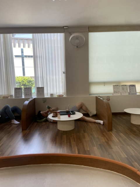 [태서맘 생존기] <1> 나폴레옹 수면법