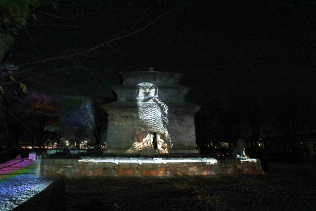 새해 자정, 분황사에서 타종과 함께 펼쳐진 미디어아트 전시 